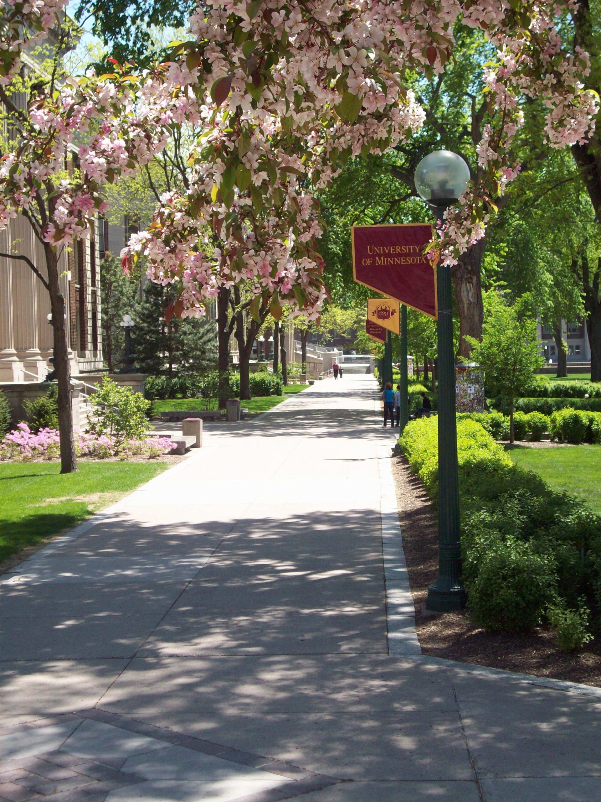 Conservative Commentator Loses Free-Speech Lawsuit Against UMN - Campus  Safety