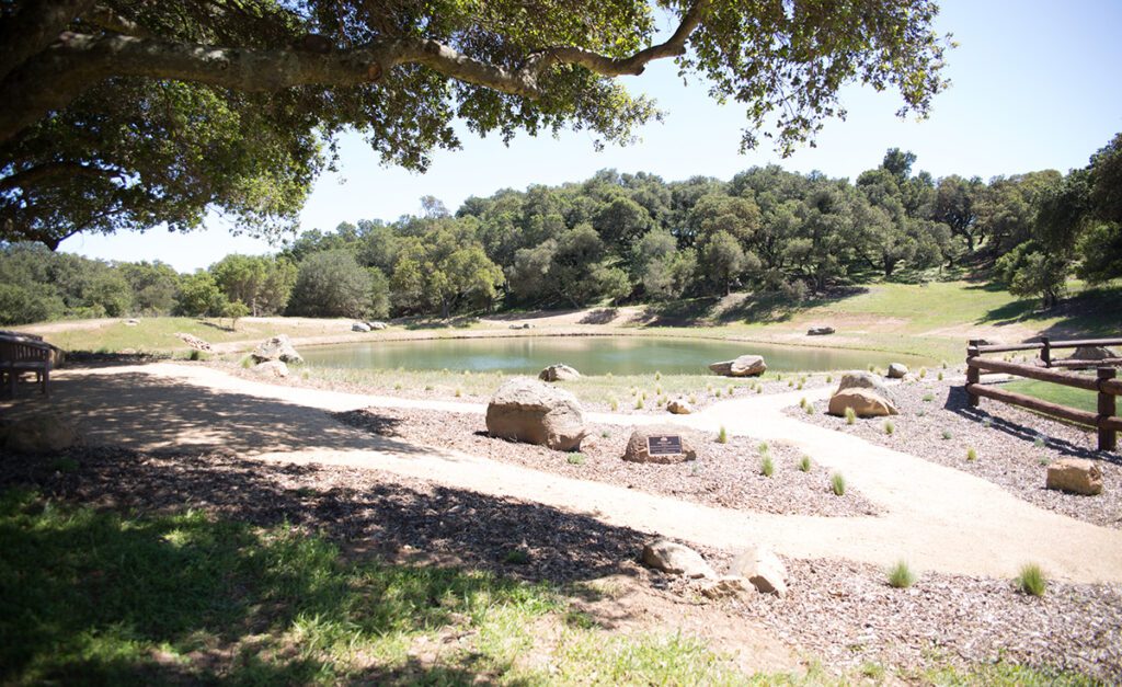 Freedom Lake provides a peaceful setting and backdrop to Freedom Wall where abundant wildlife and Ranch horses can be seen grazing.