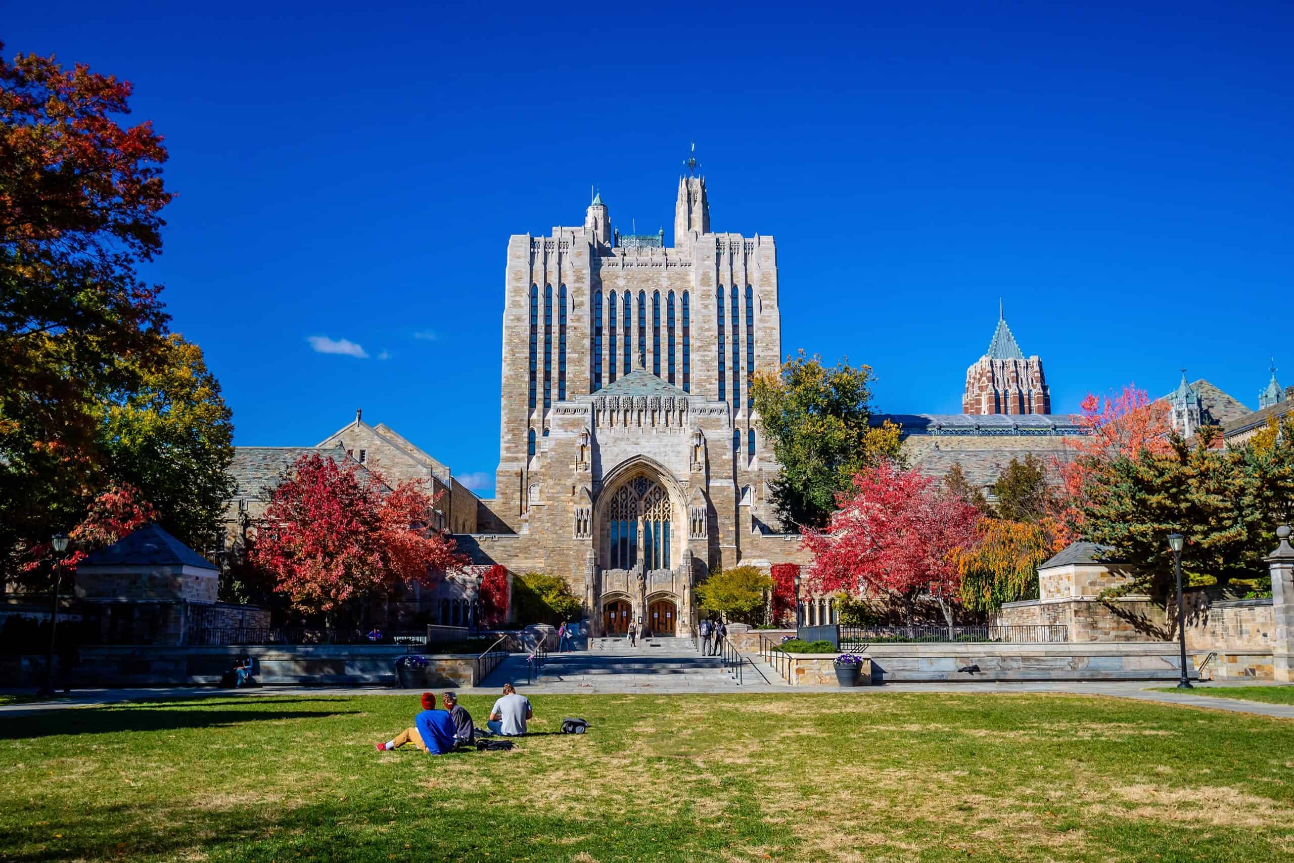yale university